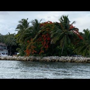 Meet your Posher, Betty